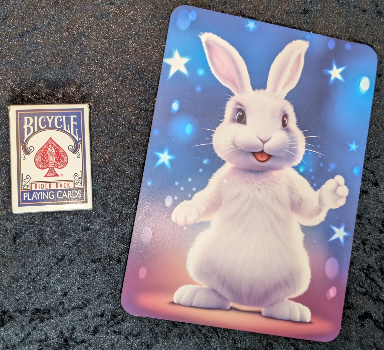 Andy Hobbs Showtime Bunny